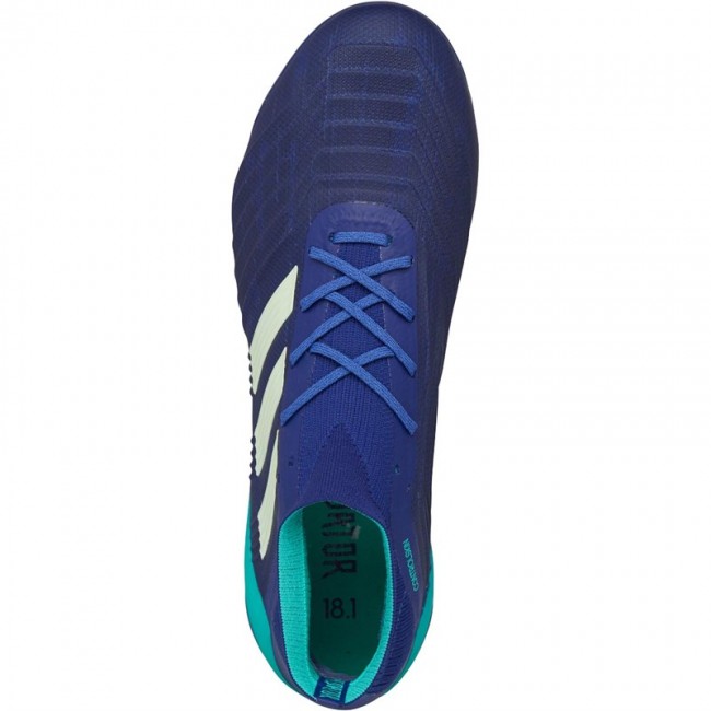 adidas Predator 18.1 FG Unity Ink/Aero Green/Hi-Res Blue