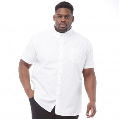 Ben Sherman Plus Size Oxford White