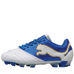 Puma Junior PowerCat 2.12 FG White/Royal/Gold