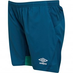 Umbro Junior SVWB Werder Brenman Legion Blue/Golf Green